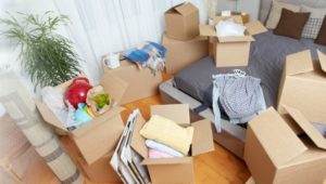 V Locate Packers and Movers