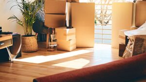 Packers and Movers Vijayanagar