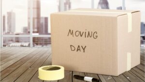 Packers and Movers RT Nagar
