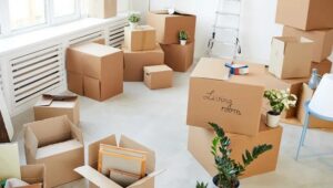 Packers and Movers Ramamurthy Nagar