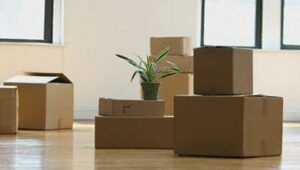 Packers and Movers HSR Layout
