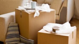 Packers and Movers Brookefield
