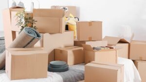 Packers and Movers Bommanahalli