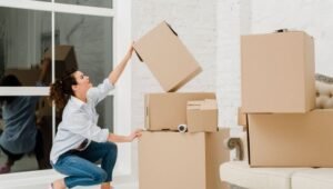 Packers and Movers Bellandur
