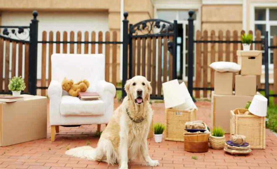Pet Relocation